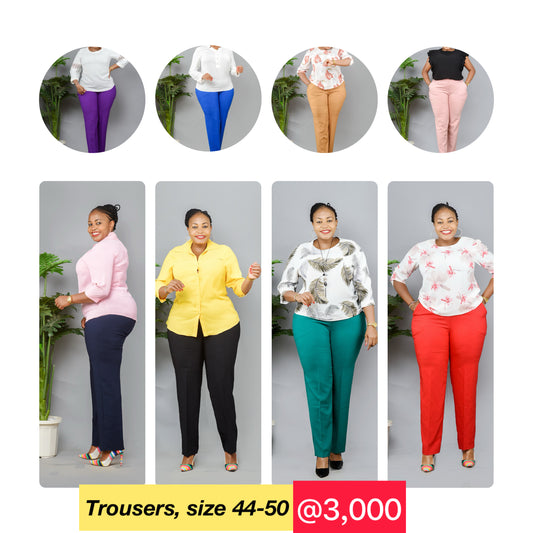 Formal Trousers on discount